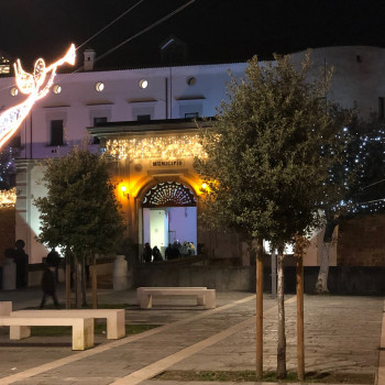 cover Museo civico di Acerra